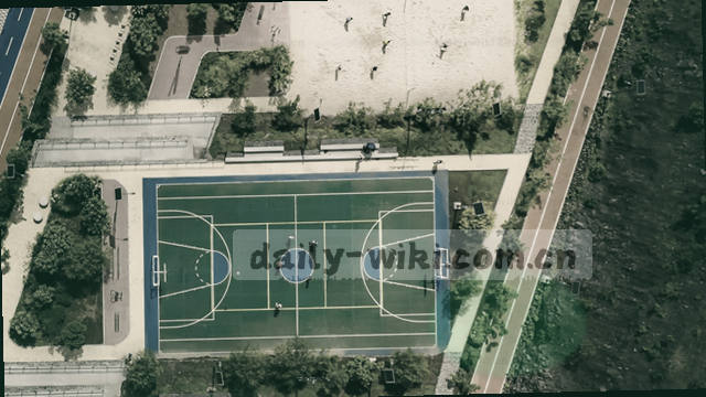 官网快速访问通道优化
